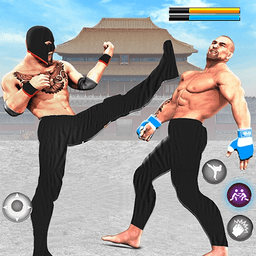 3d功夫格斗