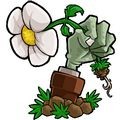 植物大战僵尸∀版支线 手机版