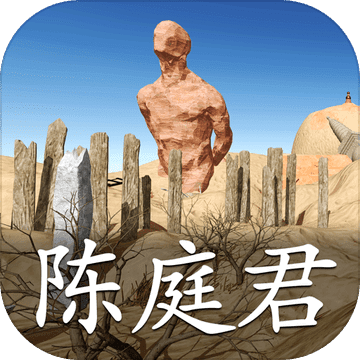 孙美琪疑案-陈庭君